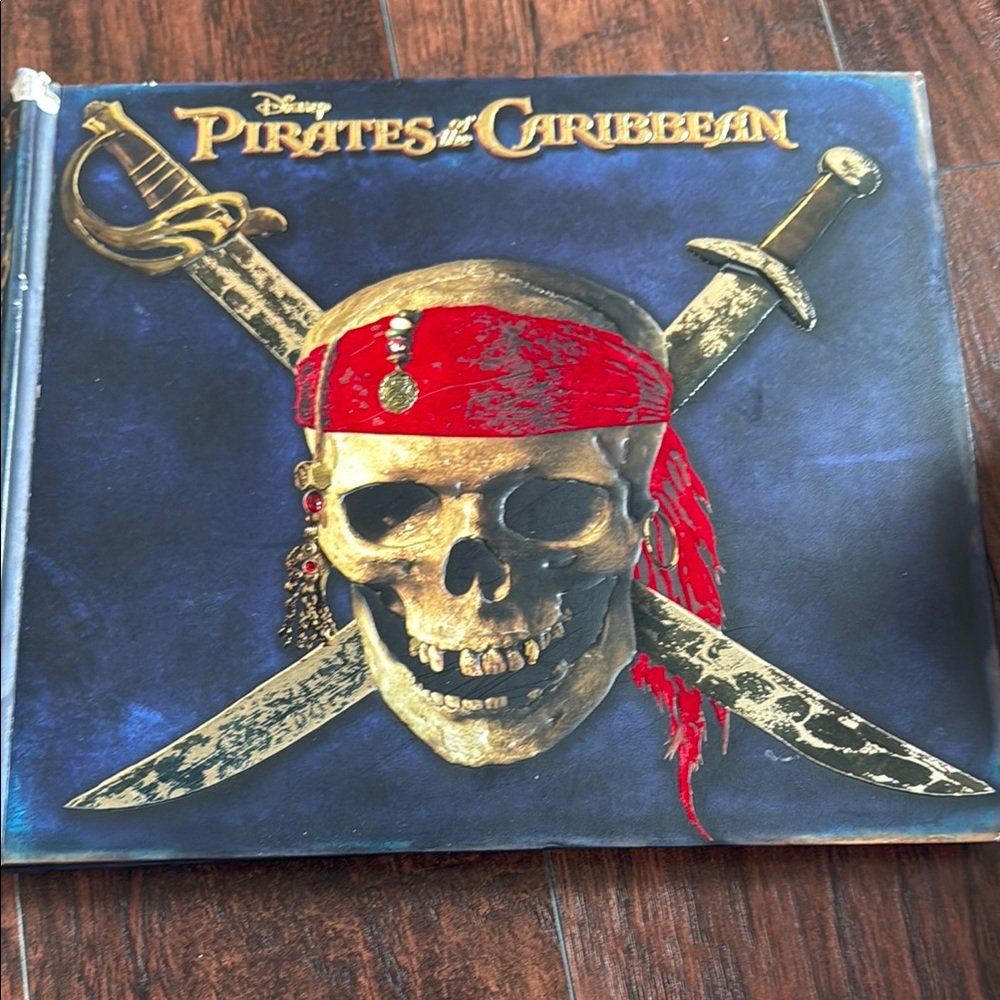 Disney Pirates of the Caribbean Skull with Swords Art